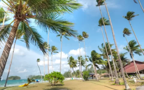 印尼，热火重燃