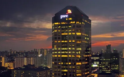 沙特消费者线上消费类别，时尚类占比最大