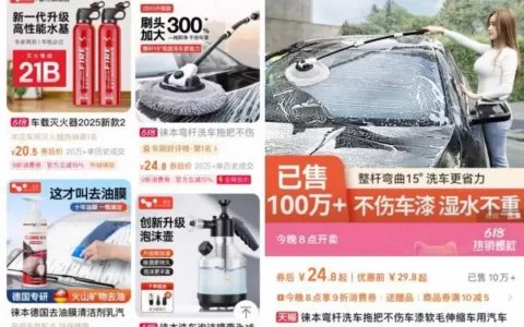 外国剁手党们，催着中国电商集体出海