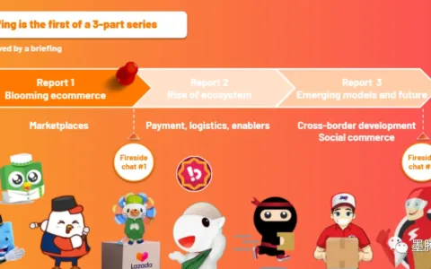 印尼电商平台2020年GMV超400亿美元，同比增长91%