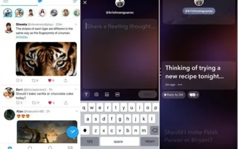 Twitter在印度推出类似Stories的功能：Fleets