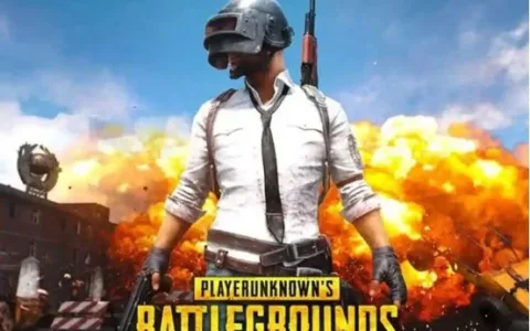 PUBG并入母公司Krafton! 传Krafton已启动IPO，市值或超1700亿元