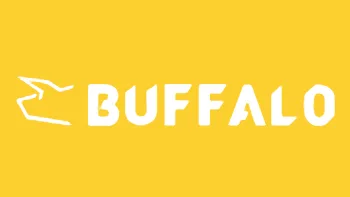 Buffalo获南非第三方支付牌照