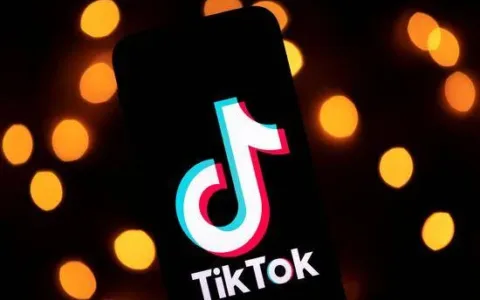 TikTok宣布遵循欧盟准则，承诺打击非法仇恨言论
