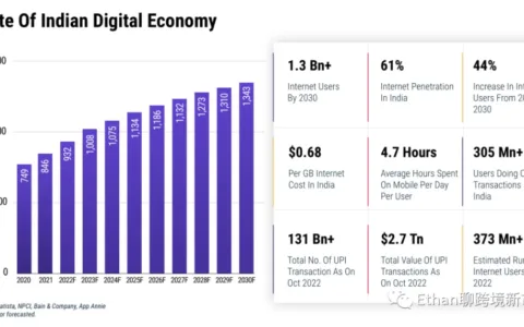 2022-2030年印度电商市场报告
