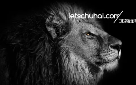 Gojek与Tokopedia终合并，东南亚“新话事人”诞生