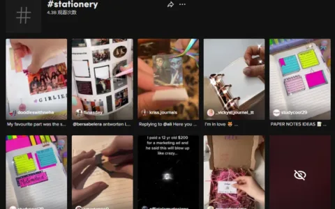 爆款文具走红TikTok，小卖靠品类年赚13万美元