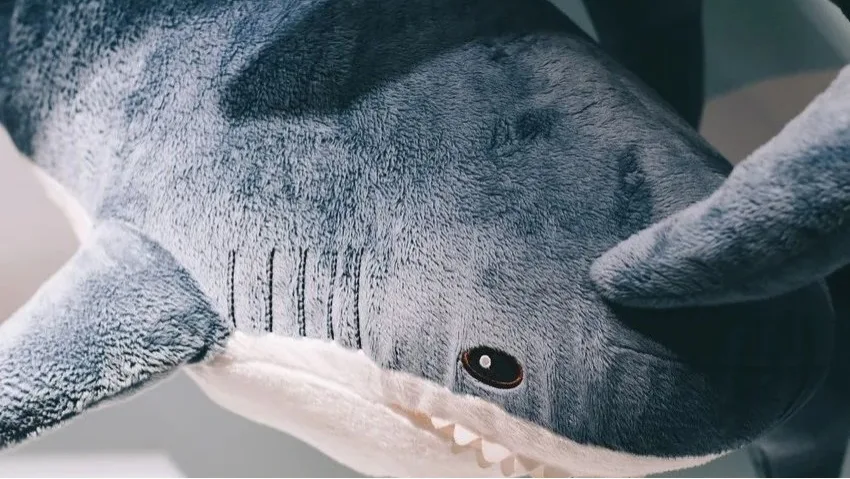 厂家月出数万单、4天吸粉1.2万，“鲨鱼毯”在TikTok卖疯了！