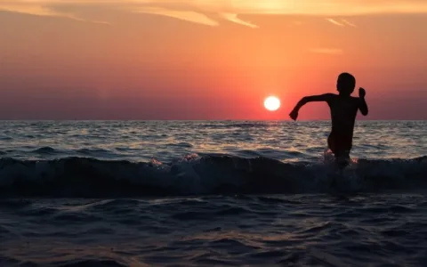 80家上市公司半年报：行业回暖了，他们却掉队了