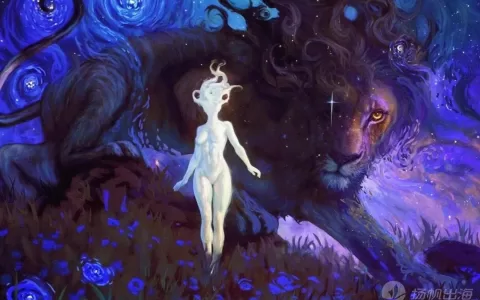 单日增粉超3万，拥有2000万用户的成熟电商品牌，在海外是如何做社媒的？