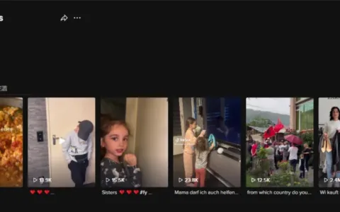 SHEIN和Zara同款服装大对比！TikTok网友吵翻了