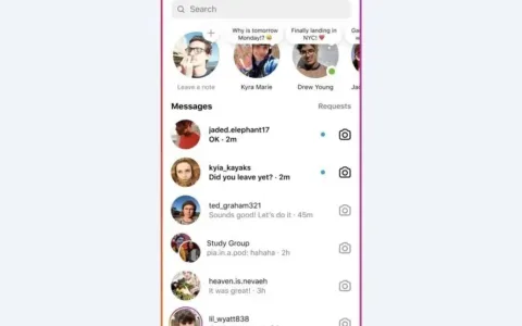 海外社媒动态丨Instagram 新上线的Notes功能是什么？