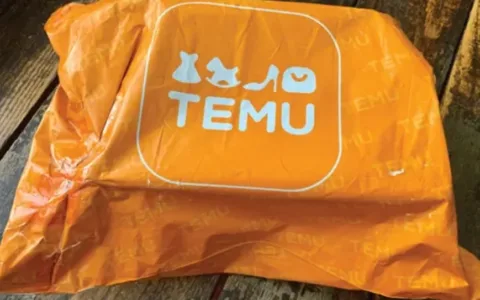 Temu在美后来者居上，低价策略成突围关键
