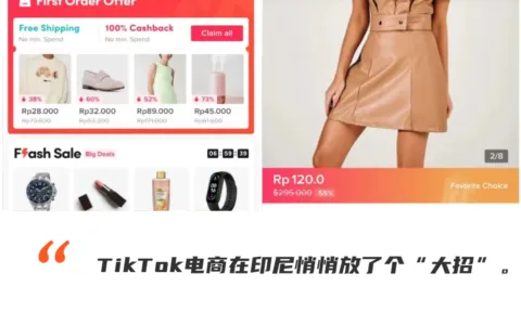 双11大促在即，TikTok电商在印尼上线官方商城，意味着什么？