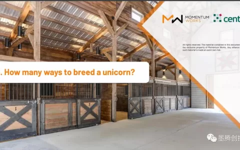 在东南亚打造一只独角兽的7种方法