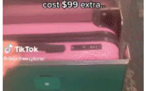 欧美行李托运费暴涨，意外在TikTok带火一款产品