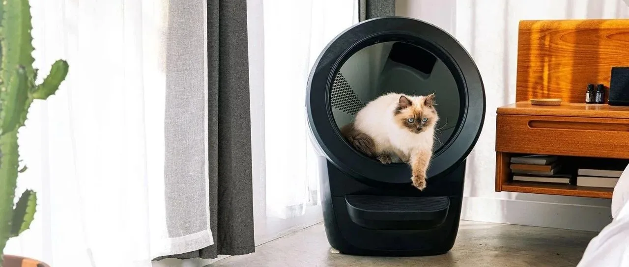 5000块的猫砂盆卖出百万销量！“铲屎”到底有多吸金？