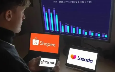 Shopee和Lazada被政府“约谈”，“偷来”的资料将被废止