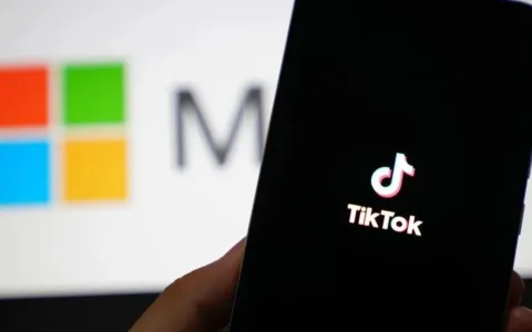 TikTok电商重返印尼，但更重要的战场已出现