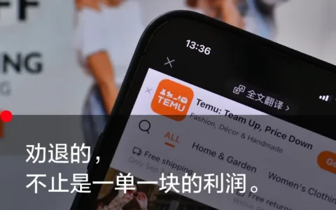 成为Temu卖家的122天：从进场到退场