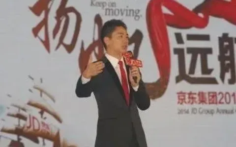 京东出海九年，刘强东回归带来希望