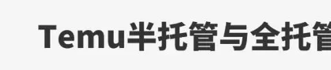 Temu爆发内斗，半托管叫板全托管