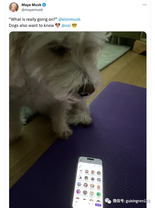 马斯克揭秘“宇宙级”AI：特斯拉搞硬件、xAI搞模型，怒批OpenAI“贪婪”