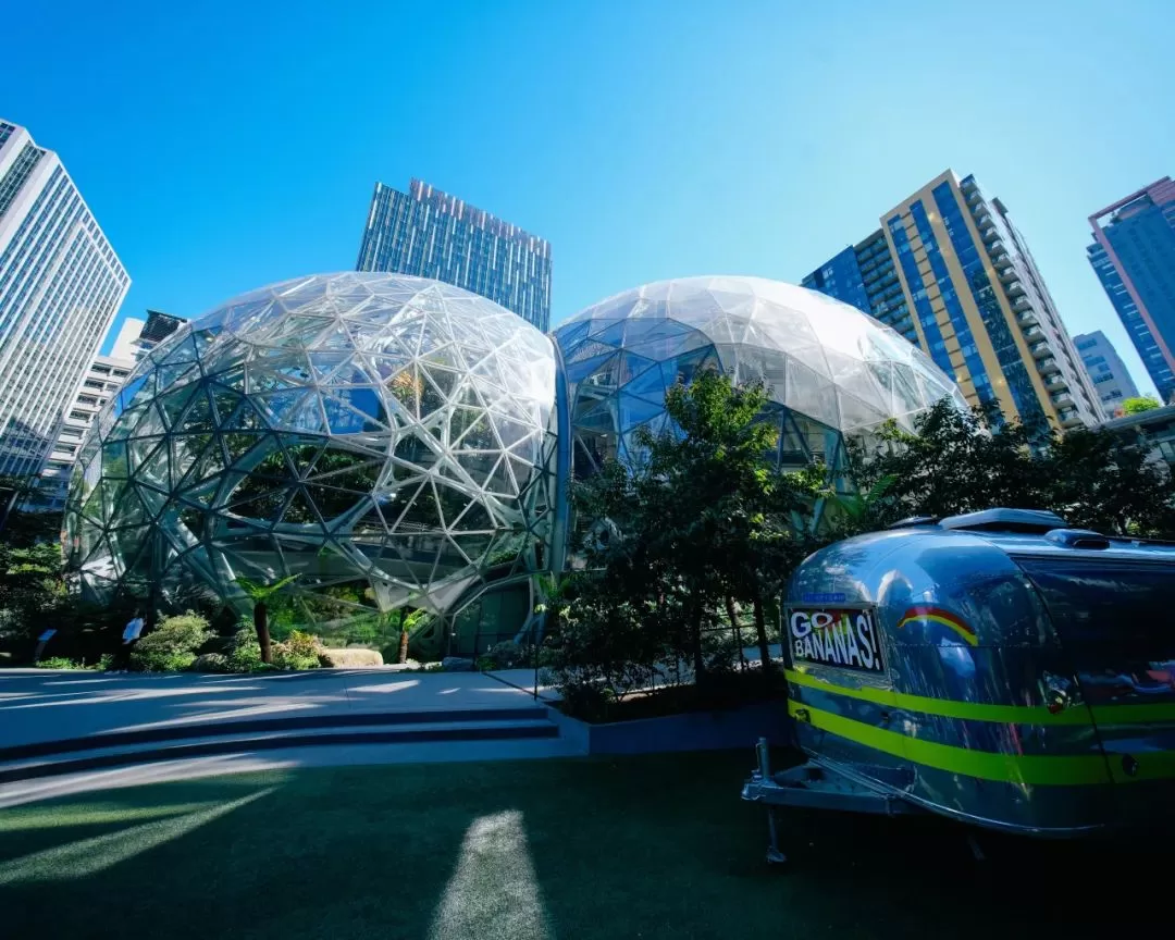 电商的美国游戏，游戏里的中国玩家