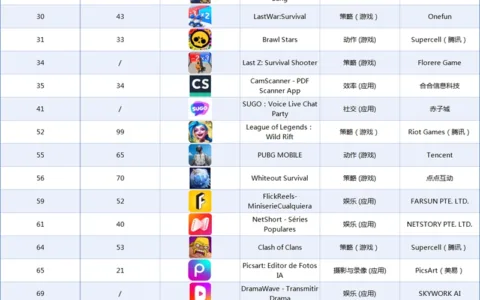 2025年8月阿根廷市场中国出海应用畅销榜 Top29
