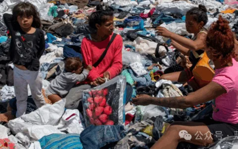 Shein在阿根廷成为大赢家