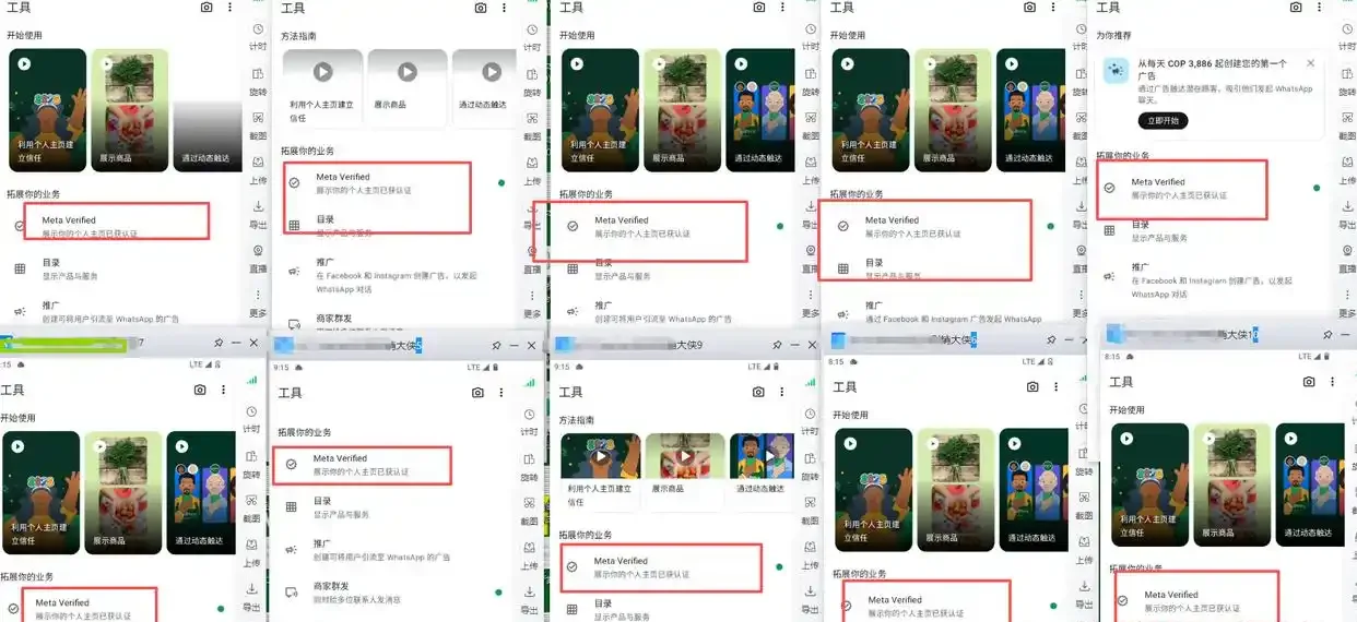 外贸人必备技能！全面测评WhatsApp磐石系统核心功能与应用场景，这些实用技巧让你事半功倍