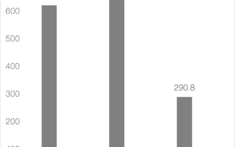 “非洲之王”传音赴港IPO：不缺钱，缺故事