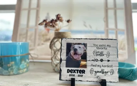 超40亿美元的“冷门”蓝海，一个有关“体面告别”的生意经